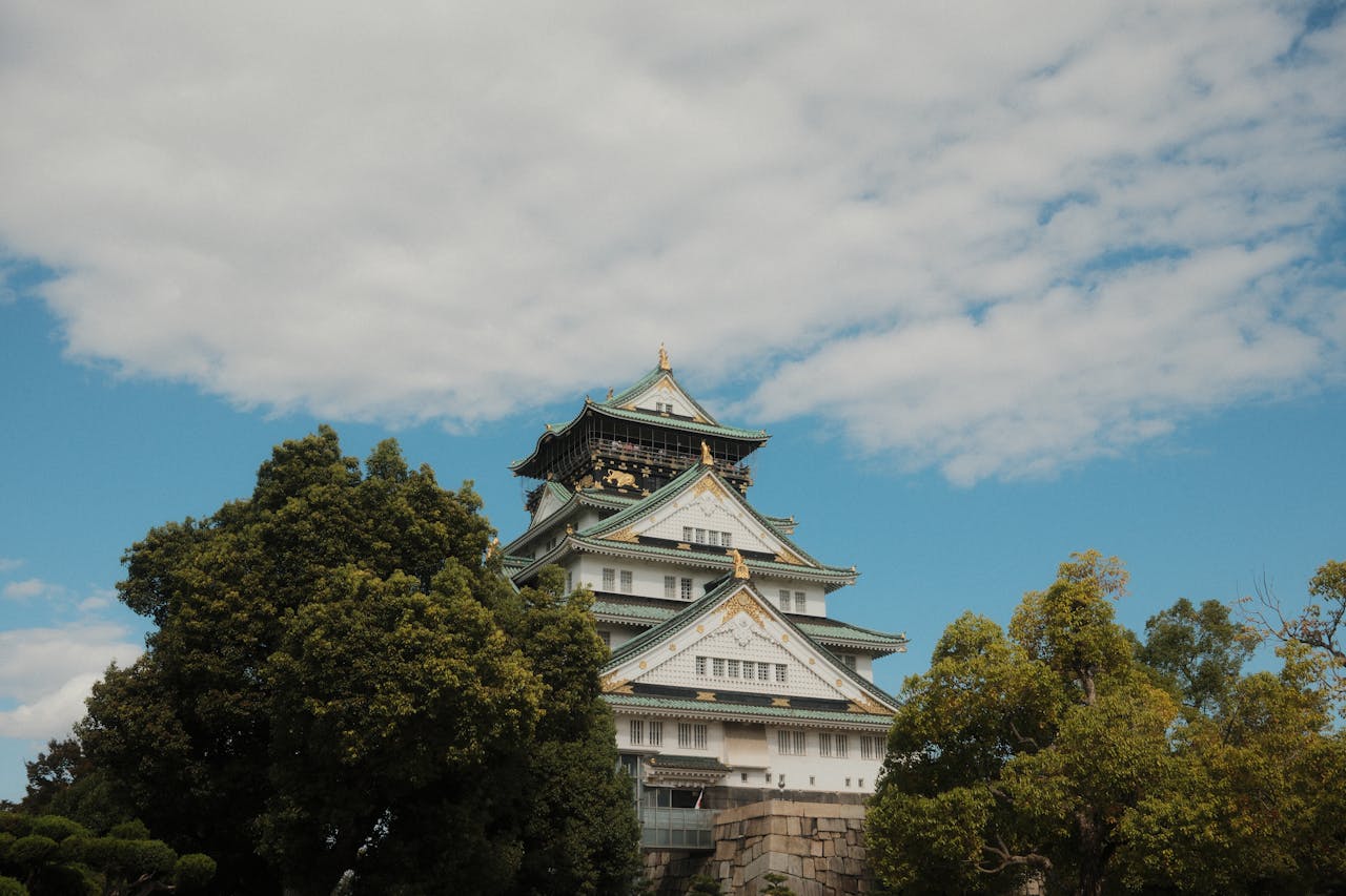 why-choose-us pexels-photo-34590848.jpeg