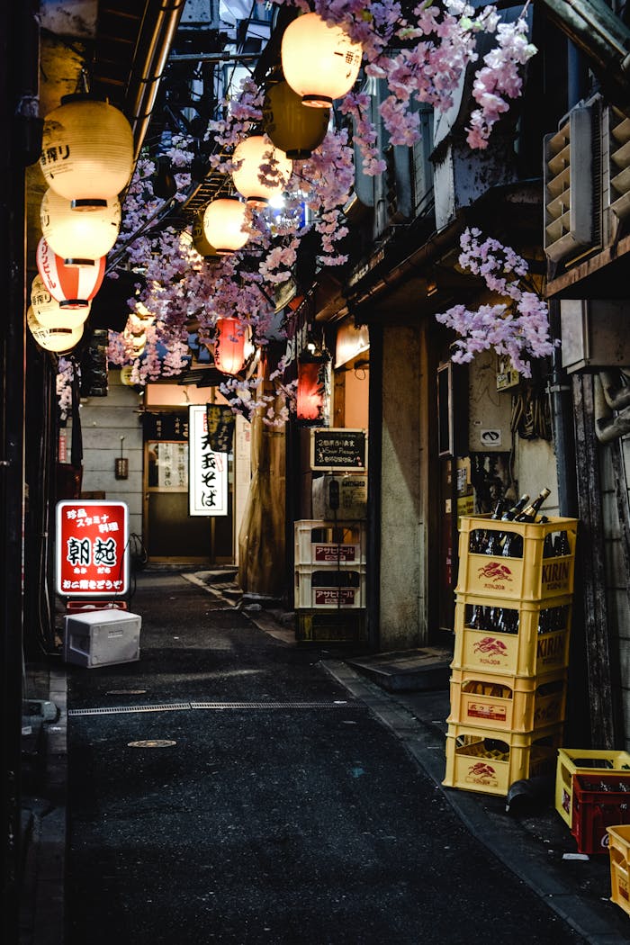 services-02 A narrow illuminated alley in Shinjuku, Tokyo, showcasing authentic Japanese nightlife with lanterns and crates.